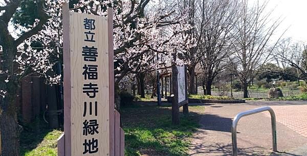 周辺を拡大表示