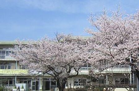 調布市立緑ヶ丘小学校まで1100m