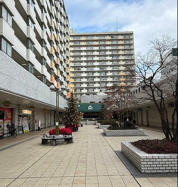 周辺を拡大表示