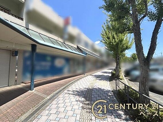 ■現地撮影写真...