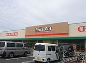 プライスカット天理北店まで546m