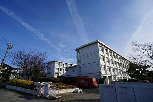 周辺 岩成台西第2住宅 603号棟 4階/-