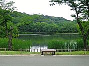 三ツ池公園まで1459m、四季折々の花や樹木を楽しめる公園。「さくら名所100選」に選ばれています。プールや遊具、売店もあります。