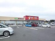 ヤオコー柏南増尾店まで1067m