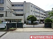 松戸市立八ケ崎小学校まで363m、松戸市立八ケ崎小学校