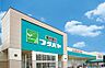 周辺：フタバヤ彦根東店まで800m