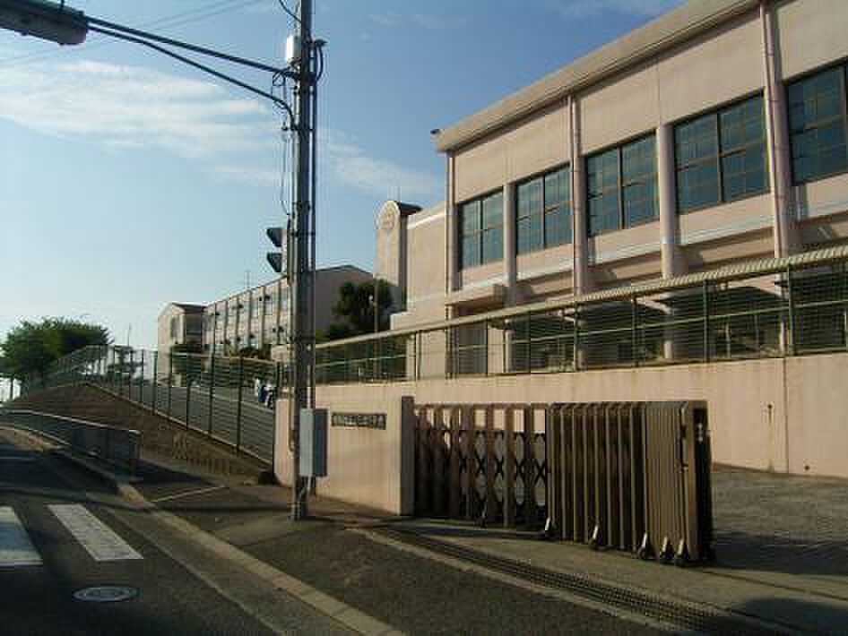 Image 7