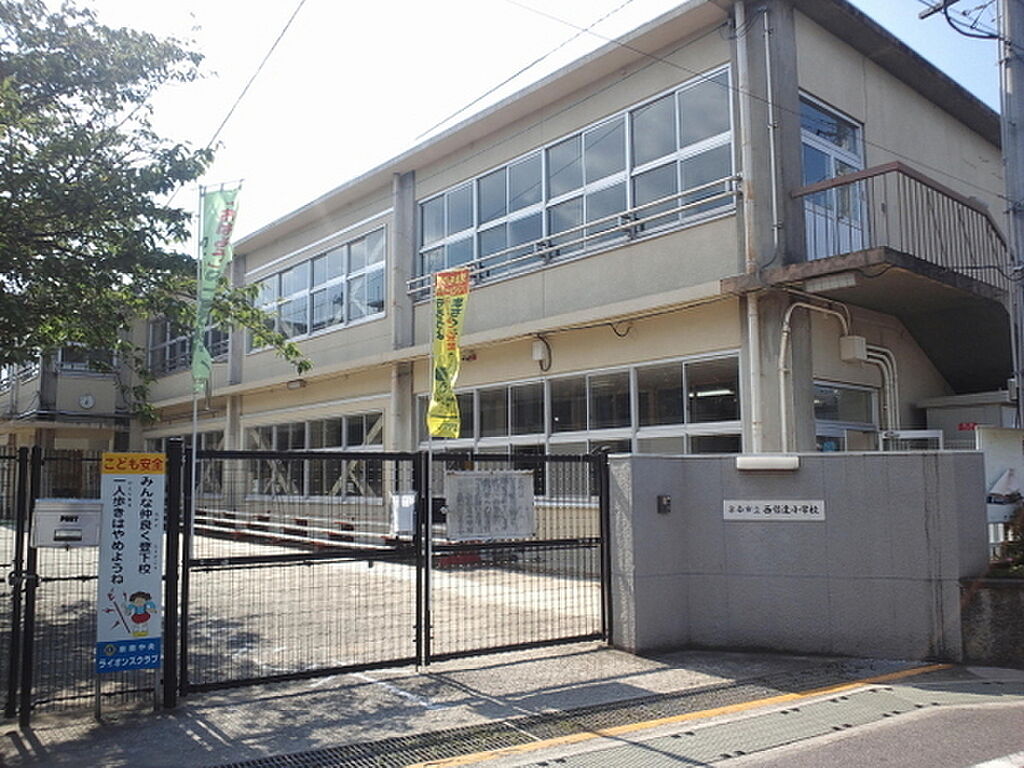 Image 6