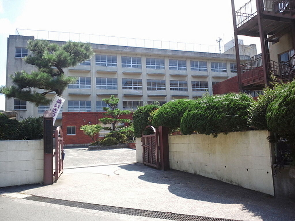 Image 7