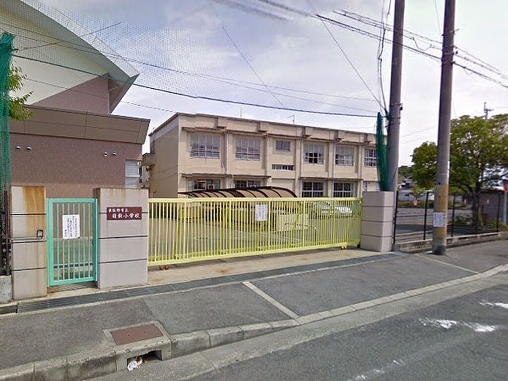 Image 7