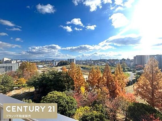 上層階なので眺...