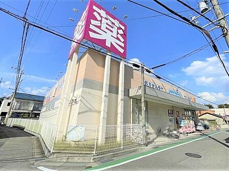 ウエルシア尼崎西立花店まで1252m