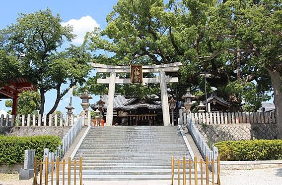 百舌鳥八幡宮ま...