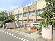 堺市立浜寺昭和小学校まで300m