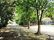 土居川公園まで320m