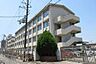 周辺：堺市立三宝小学校まで930m