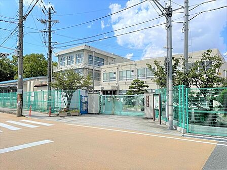 堺市立八下中学校まで2200m