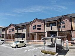 ルーステララ 0105