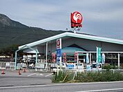 コメリハード＆グリーン山東店まで1564m