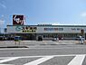 周辺：スギ薬局長浜店まで580m