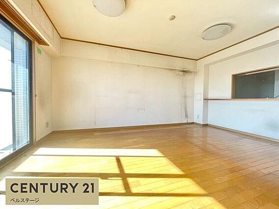 陽光差し込む広...