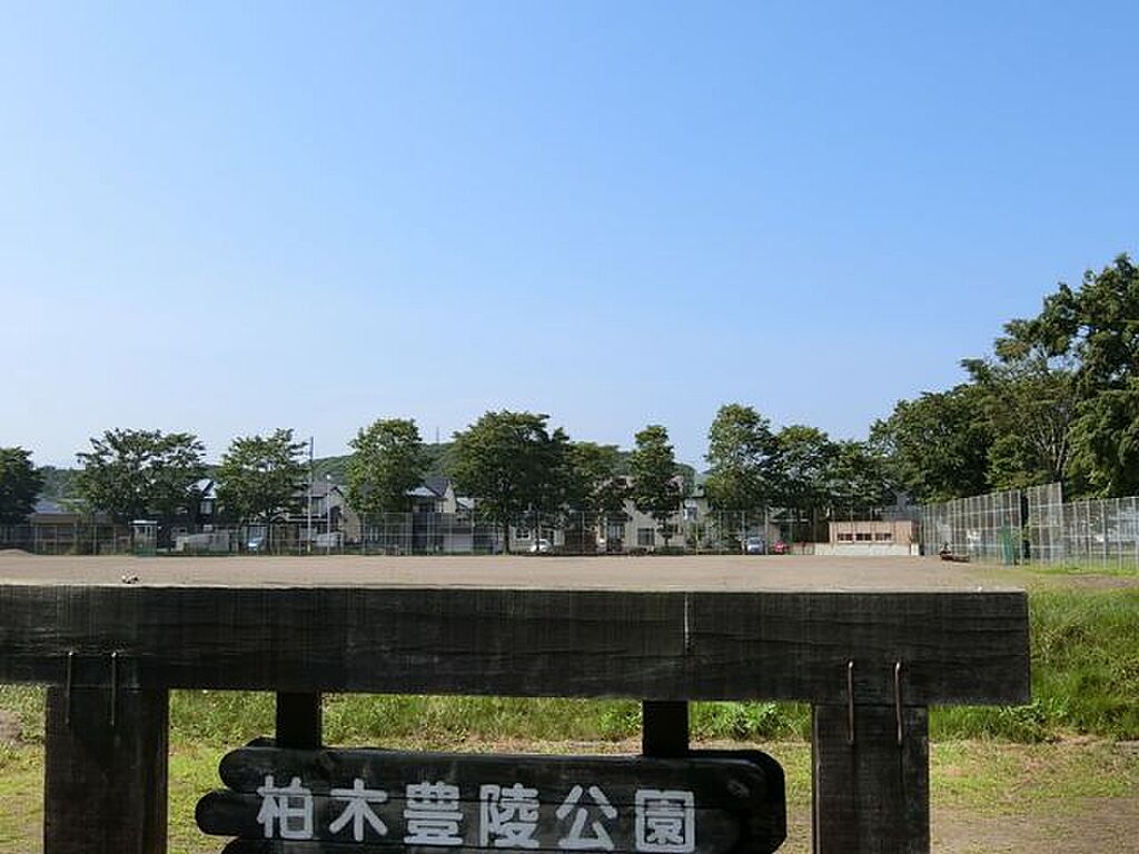 Image 14