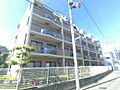 JR東海道・山陽本線 摩耶駅 徒歩6分の賃貸マンション