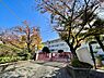 周辺：福岡市立筑紫丘中学校まで698m