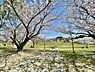 周辺：春日公園まで2080m、春日公園