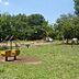周辺：大南公園まで325m