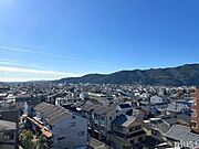 2023年12月撮影