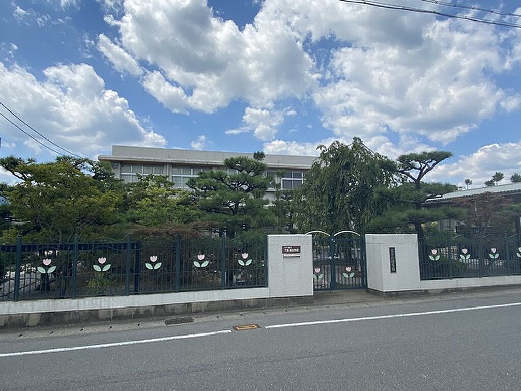 Image 10