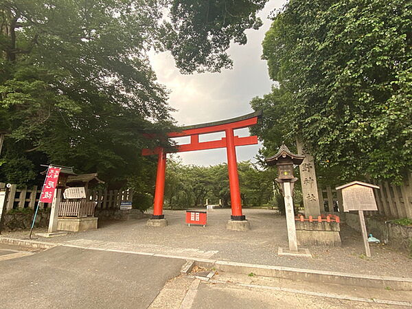 周辺を拡大表示