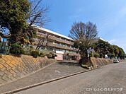 海老名市立大谷中学校まで938m