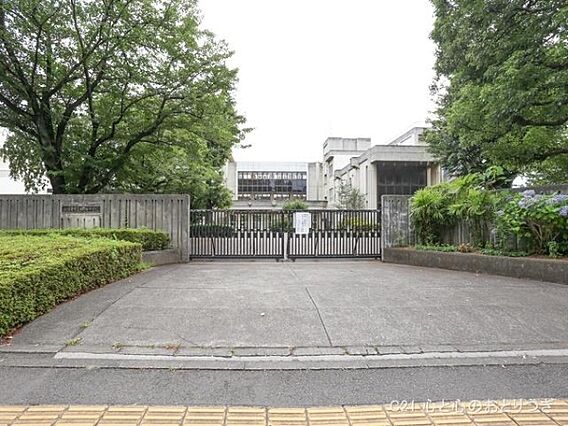 相模原市立由野...