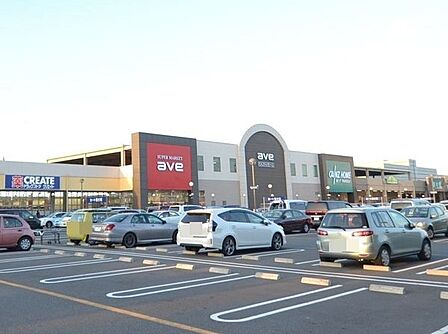 エイビイりんかんモール店まで320m、生鮮食料品の安さで魅力の大型スーパー!大型駐車場も完備なのでお車で買い出しもラクラク!