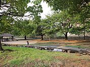 北部公園まで456m