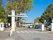独立行政法人国立病院機構相模原病院まで1100m
