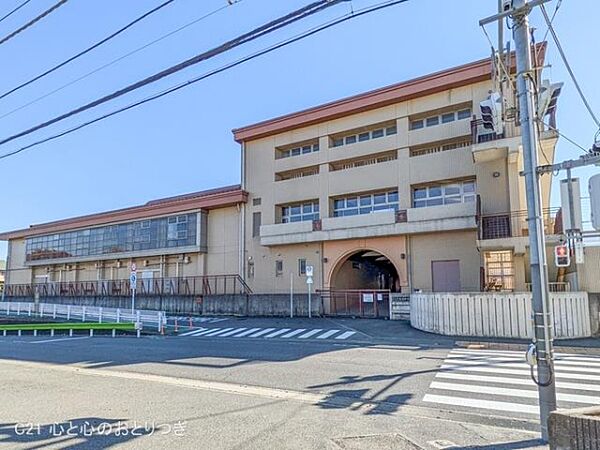 周辺を拡大表示