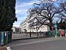 周辺：大和市立緑野小学校まで450m