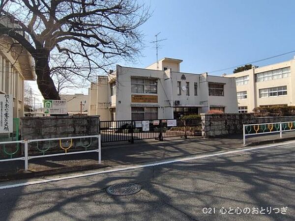 周辺を拡大表示