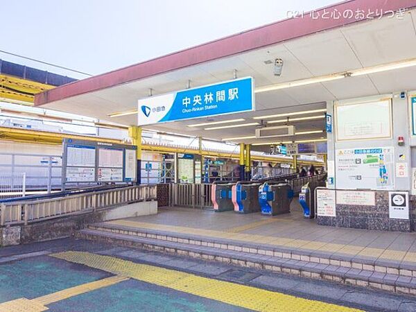 周辺を拡大表示