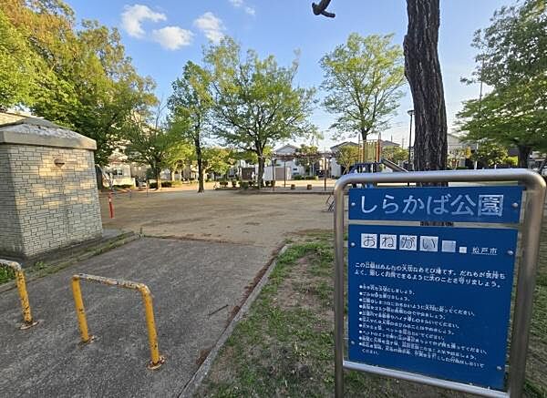 周辺を拡大表示