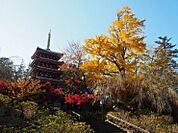 本土寺（あじさい寺）まで800m