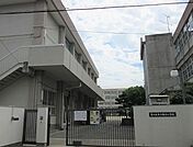 東大阪市立縄手小学校まで359m