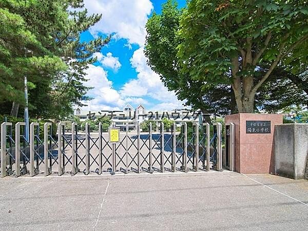 周辺を拡大表示