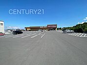 クスリのアオキ甘楽福島店まで1009m
