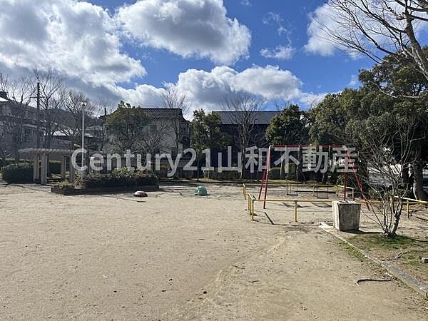 周辺を拡大表示