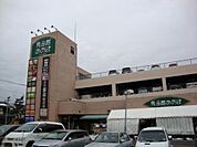 食品館あおばさがみ野店まで410m