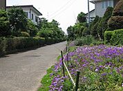 さがみの仲よし小道まで1244m